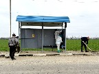 йцу553.jpg