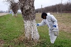 йцу548.jpg