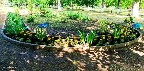 8_0406.jpg