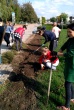 Благоустройство.