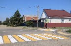 цу145.jpg