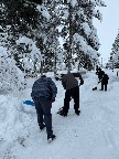 см6