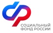 Социальный фонд России предупреждает: мошенники создают поддельные боты под видом СФР