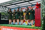 чс33