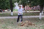 ячс331.jpg