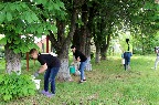 IMG_9677.JPG