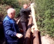 Благоустройство.
