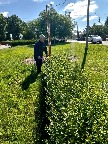 10_0406.jpg