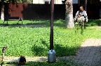 1_1405.jpg