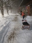йцу131.jpg