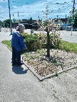 1_1006.jpg