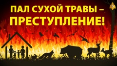 Уважаемые жители Тбилисского сельского поселения Тбилисского района!