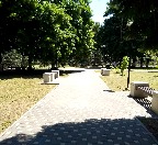 2_1006.jpg