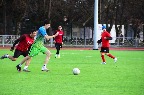 см11
