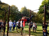 dst81.jpg