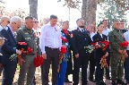 ячс355.jpg