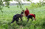 IMG_9714.JPG