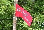 IMG_9810.JPG