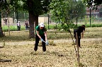 IMG_9702.JPG