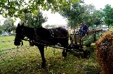 gp68.jpg