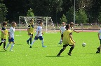 IMG_2349.JPG