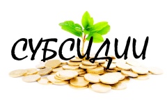 Субсидии представителям малых форм хозяйствования.