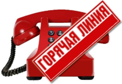 Прокуратурой Тбилисского района организована «горячая линия».