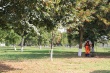 Благоустройство.