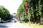 IMG_9872.JPG