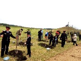 11гр.jpg