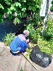 9_0406.jpg