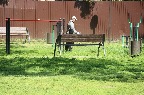 2_1405.jpg