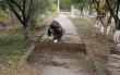 Благоустройство.