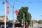 IMG_9864.JPG