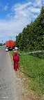 10_1006.jpg